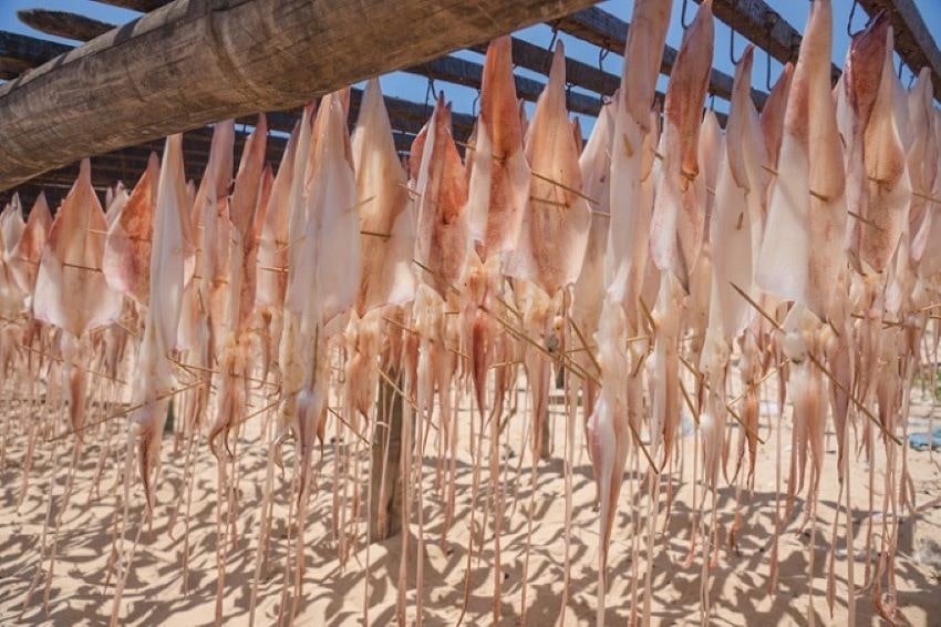 Cách làm mực khô làm mực khô