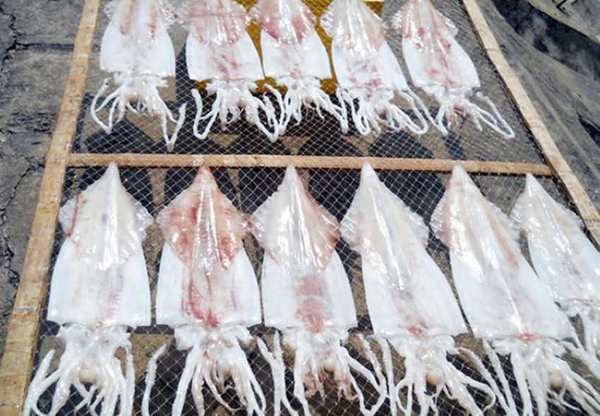 Cách làm mực khô làm mực khô