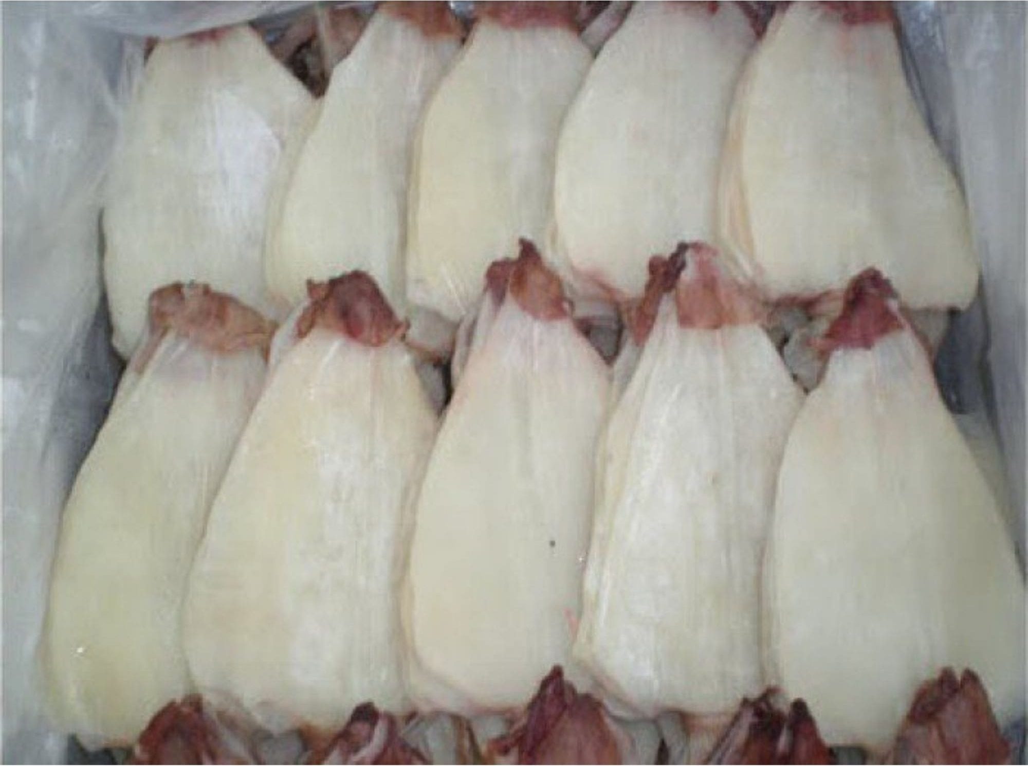 Mực 1 nắng Đà Nẵng