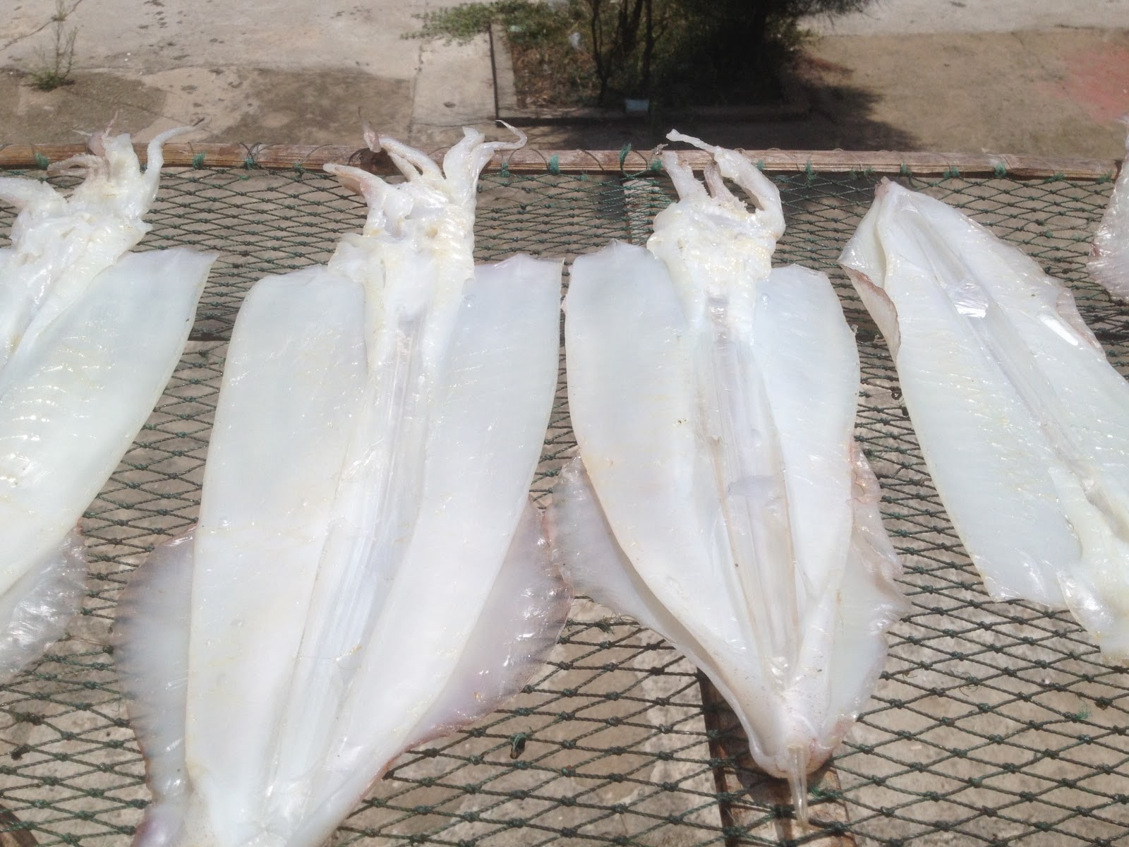 Mực 1 nắng Đà Nẵng phơi khô