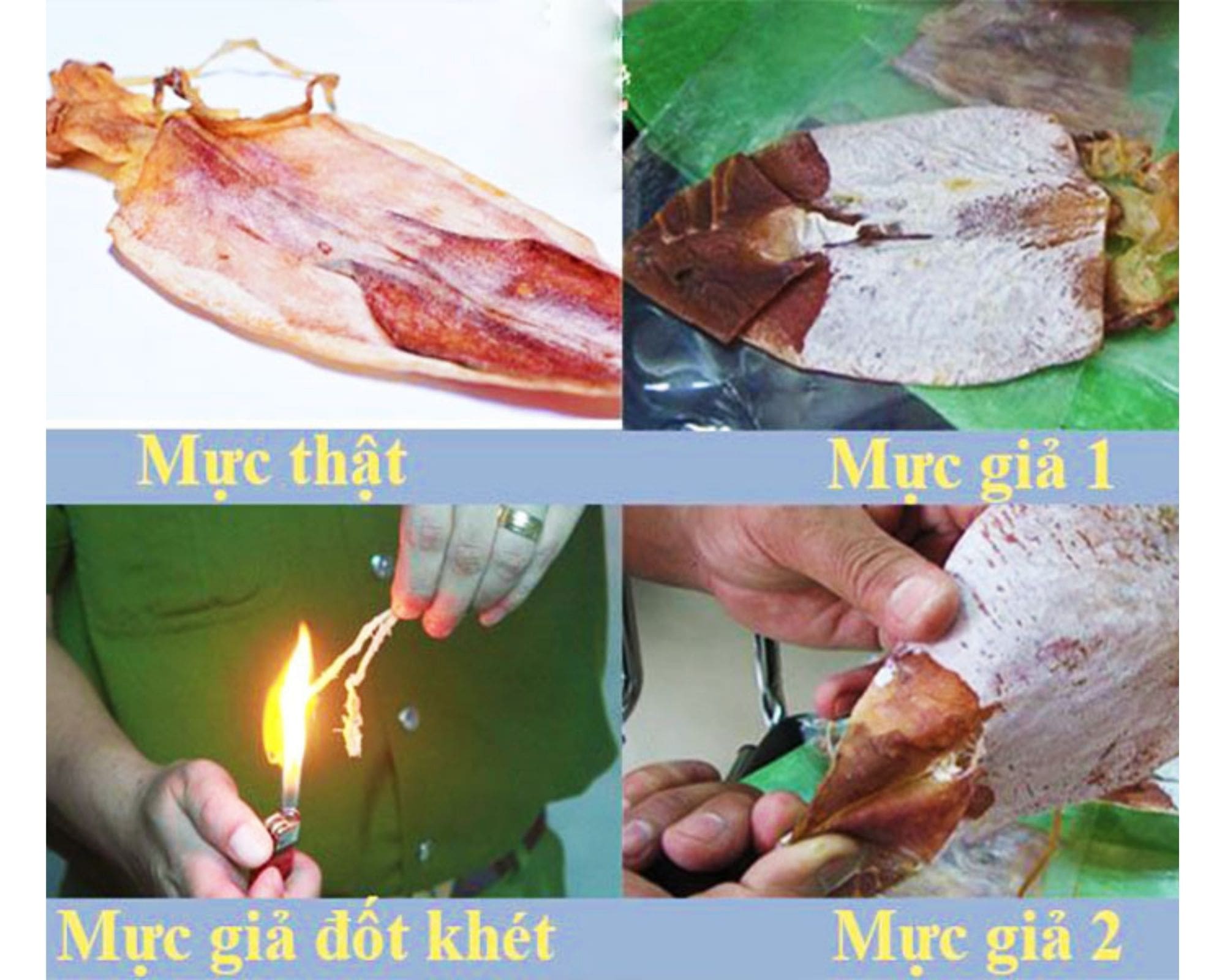 Phân biệt mực 1 nắng thật và giả