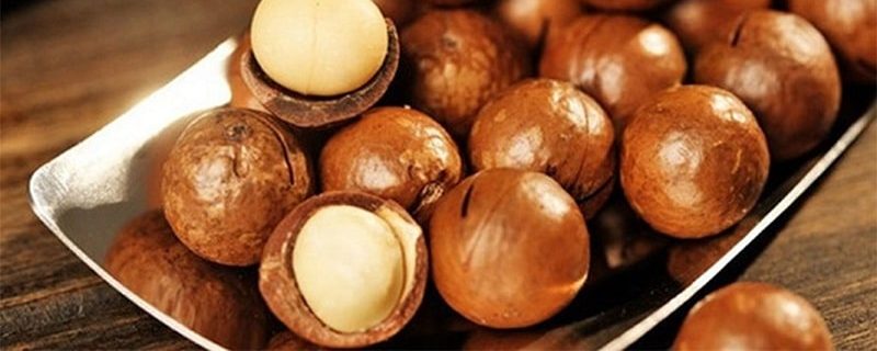 ăn hạt macca có giảm cân không ăn hạt macca có giảm cân không