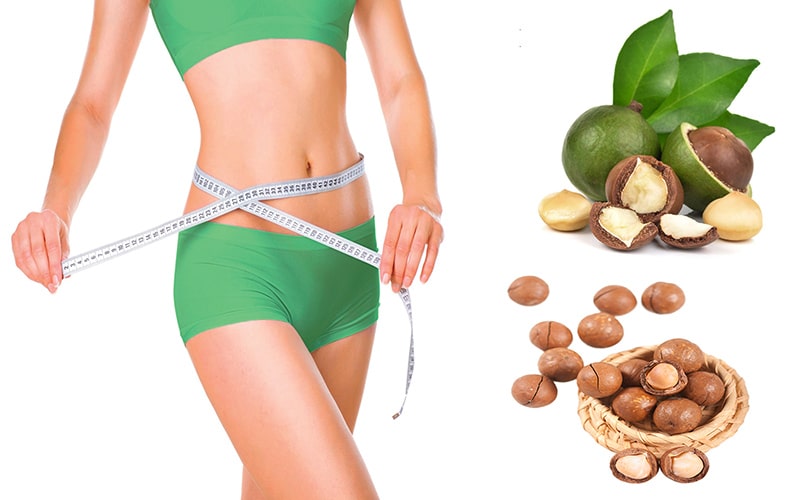 hạt macca có tác dụng gì hạt macca có tác dụng gì