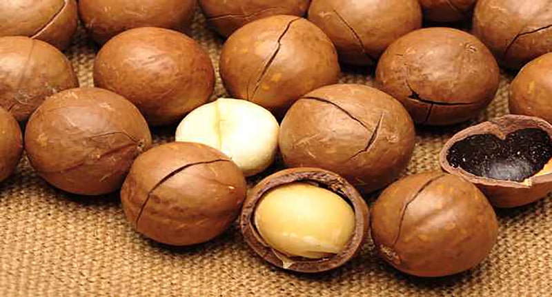 hạt macca có tác dụng gì hạt macca có tác dụng gì
