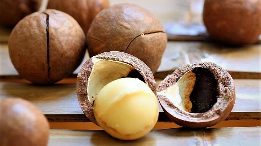 hạt macca có tác dụng gì hạt macca có tác dụng gì