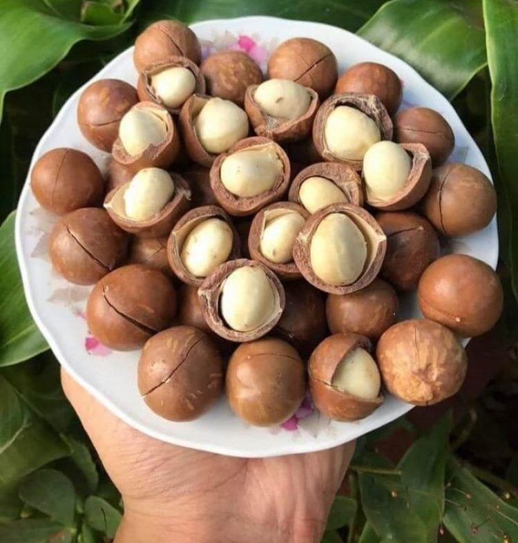 hạt macca có tốt cho bà bầu không