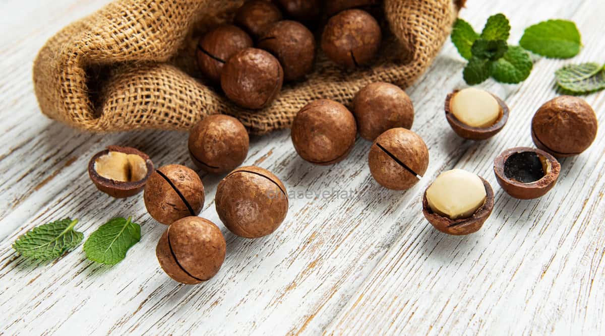 hạt macca có tốt cho bà bầu không